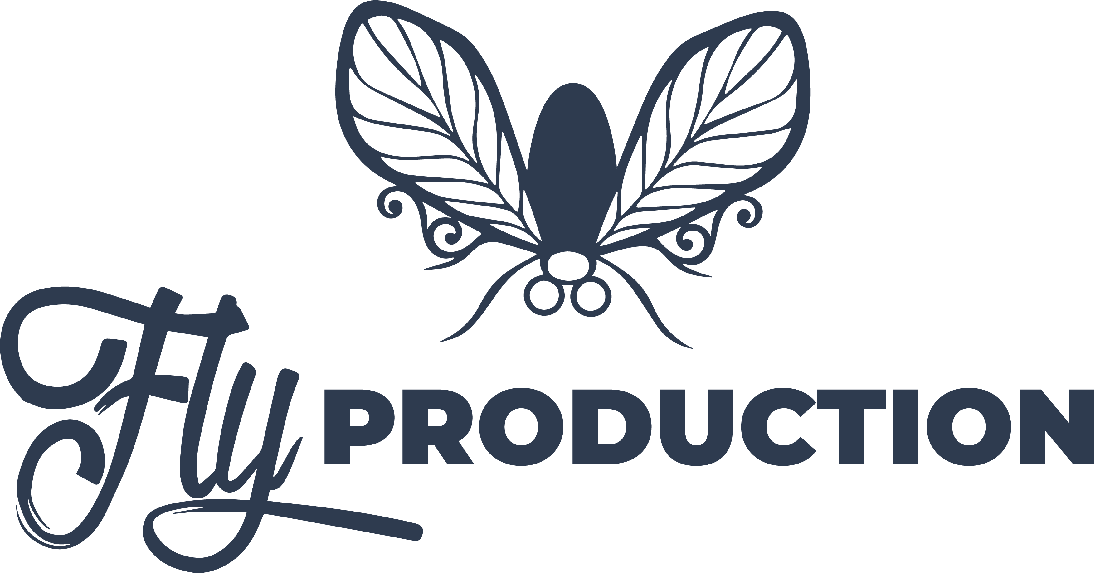FLY PRODUCTION